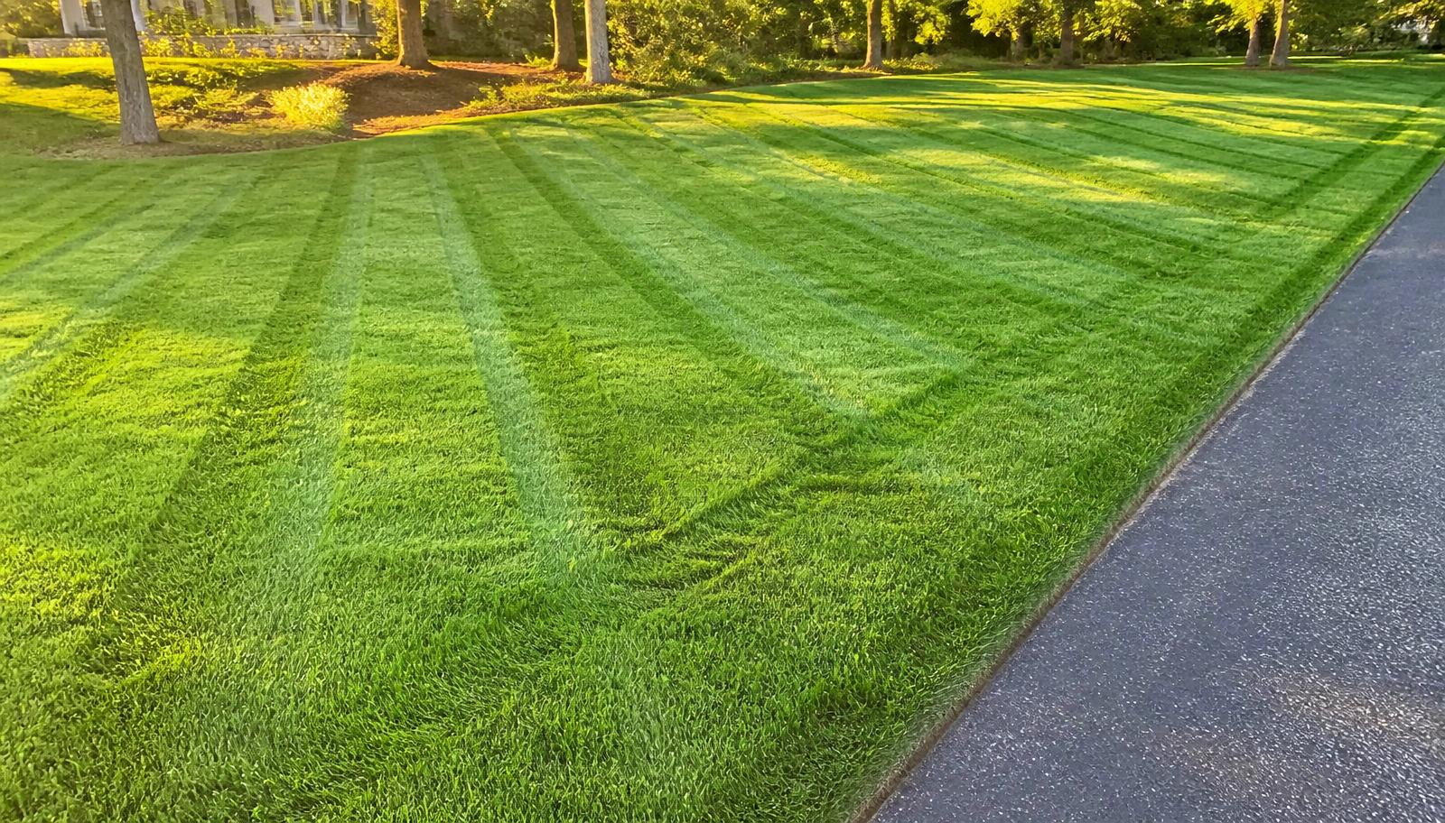 Crisp mowing stripes across a large healthy green lawn